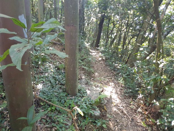 志繼山、東眼山、拉卡山1561253