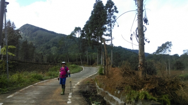 20151205南庄向天湖山,光天高山27669