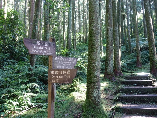 【台灣好行】中秋-東眼山森呼吸