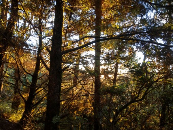 1090812桃山/喀拉業單攻1106296