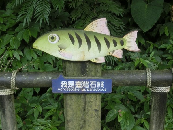 仙山．蓬萊溪護魚步道452602