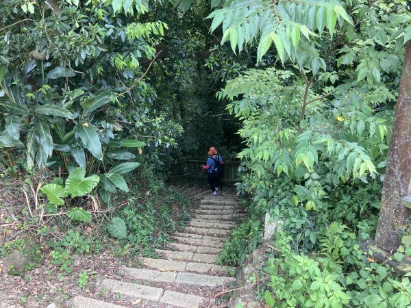 南埔村觀音步道+挑水壢古道2550261