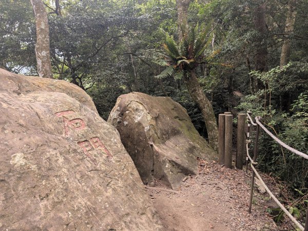 2026.10.09－重遊馬那邦山3133785