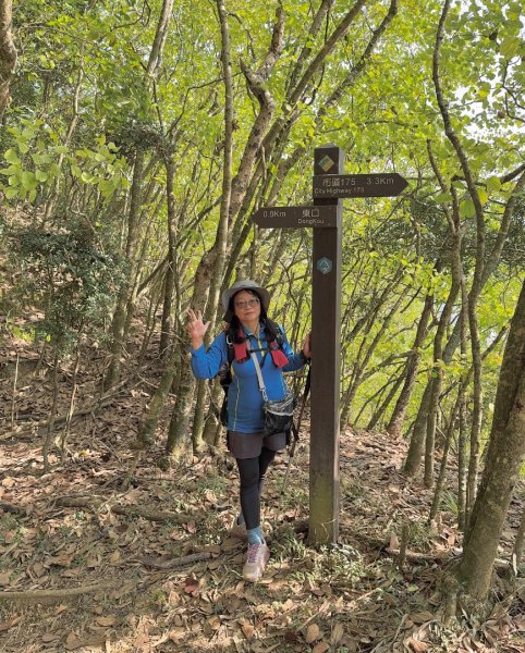 烏山嶺水利古道順走竹高崙山3連峰2669923