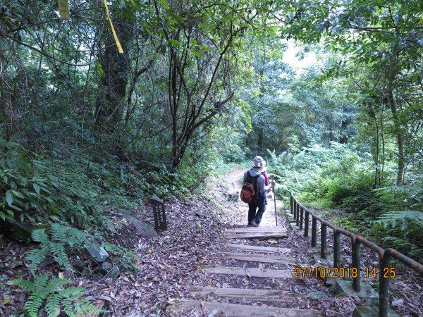 特富野古道449285