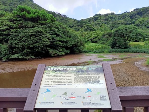 二度踏查新行程：二子坪→菜公坑山→大屯自然公園→二子坪→二子山東、西峰→二子坪;【臺北大縱走1&2】1809754