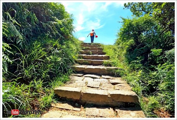 擎天崗系列步道2275336