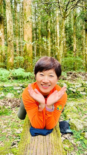 🌈228連假北橫賞櫻客製化四日遊Day2 FB：熊熊趴爬走🌈2724606