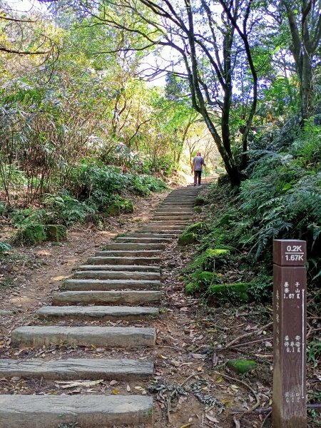 【基隆-臺灣百大步道】姜子寮山和泰安瀑布1268258