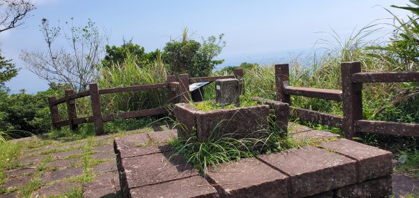 2021-10-02灣坑頭山、桃源谷步道(大溪線)1477906