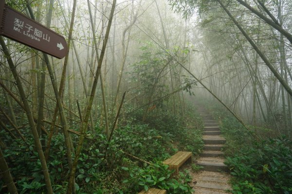 嘉義 梅山 太平山、梨子腳山、馬鞍山、二尖山、大尖山、碧湖山2748973