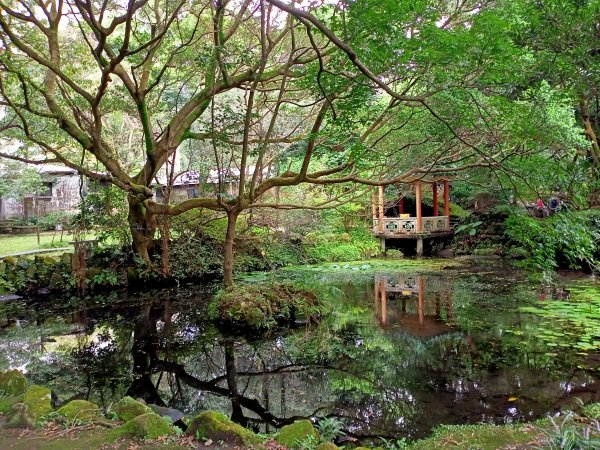 悠遊陽明山前山公園、紗帽山1846185