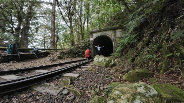 阿里山眠月線2972780