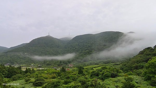 陽明山再見雲海&雲瀑5/23 #五色鳥育雛2510720