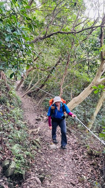 占山+小北插2863658