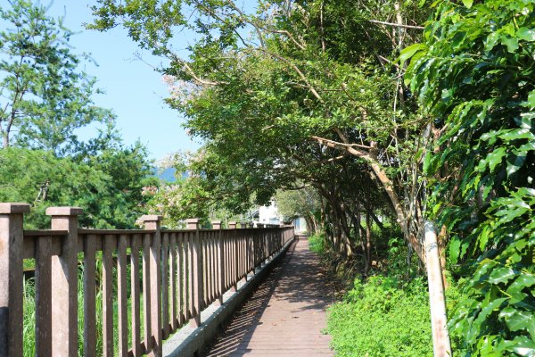 南投魚池~花茶香田園好風光~澀水田頂步道1026752