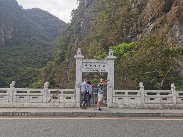 砂卡礑步道-五間屋來回2471347