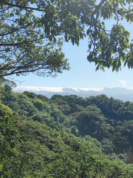 後花園散散步2936594