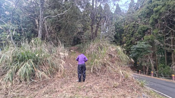 雪見遊戲區盡尾山二本松山2702686