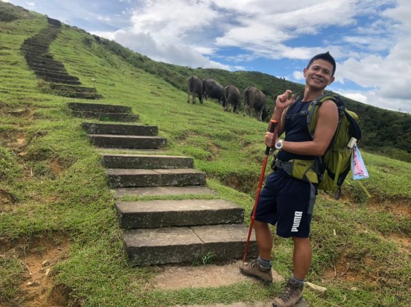 草嶺古道.灣坑頭山【颱風退散 強風來襲中1096450