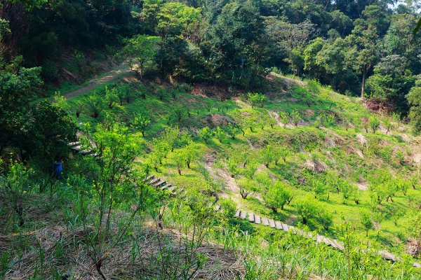 猴山岳。二格山。小獅山連走616148