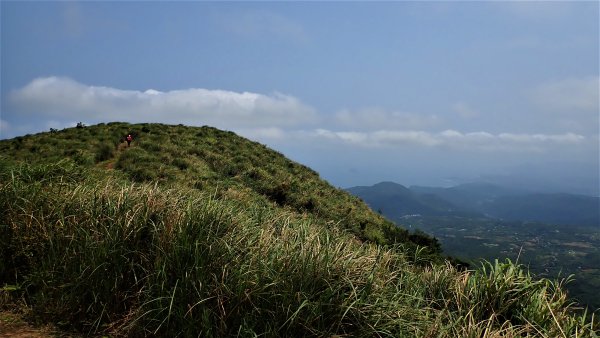 台北最後的淨土磺嘴山自然保護區健行趣1340965