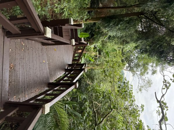 后里觀音山 鳳凰山2816253