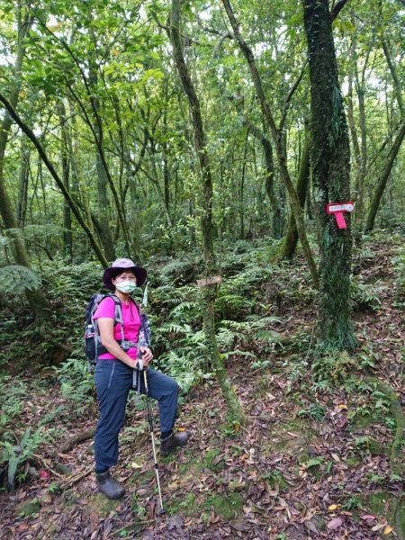 淡蘭烏山古道西段、網形山O走1434232