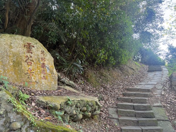 20260221 飛沙新路3003404