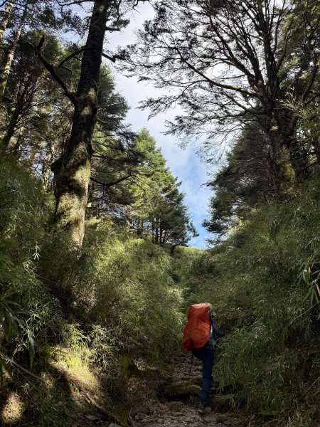 觀雲山莊經小完美谷上畢祿山O繞2917210