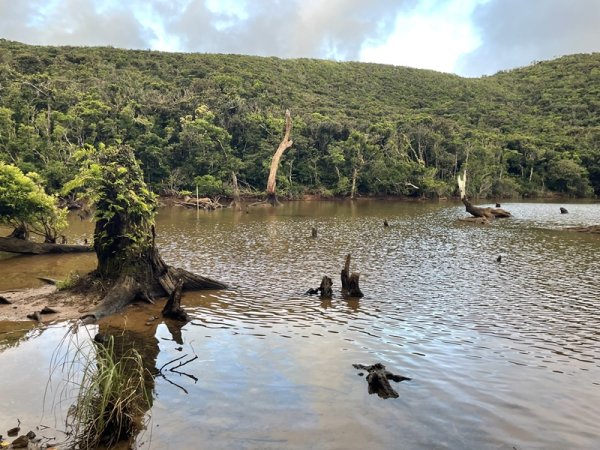 紅頭山大天池2893974