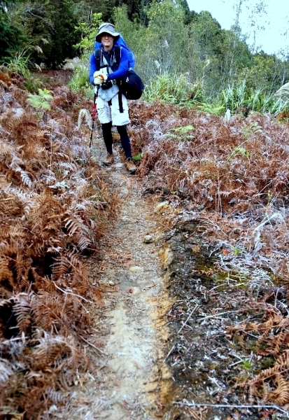 ◎ 水漾森林- 苦路篇 (鹿屈山前峰 vs 鹿屈山)85187