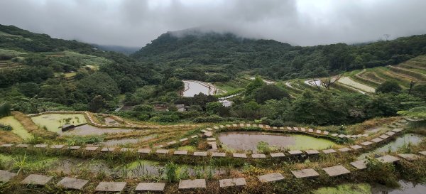 百年嵩山梯田&阡陌步道3051338