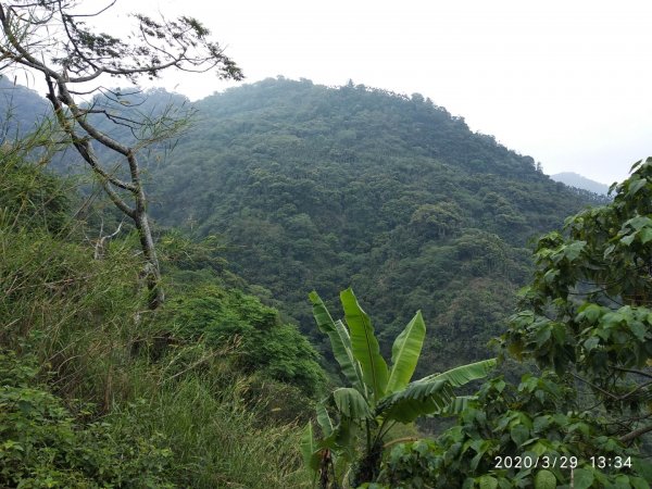 獨立山國家步道895020