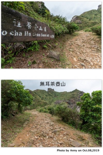 茶壺山登山步道700932