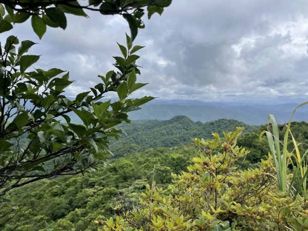 蛇子形古道2511199