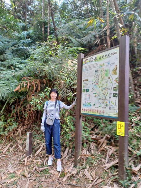 【南投魚池】澀水森林步道2933037