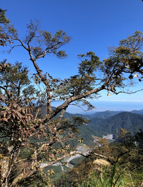 漫步探訪台灣山毛櫸國家步道965898