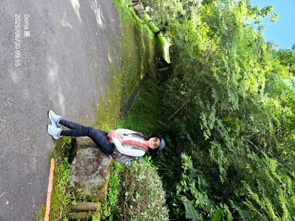 桃園小百岳東眼山(H1212m)2844617