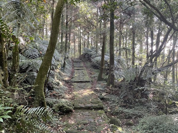 環七星山人車分道_陽金公路段112.11.032336880