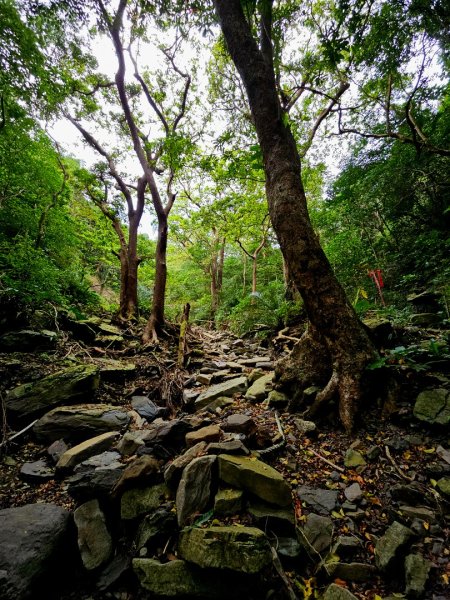 女仍山-小百岳#79-屏東縣獅子鄉2732102