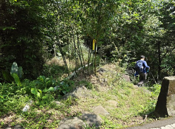 [淡蘭古道] 2026_0502 北路第二段_雞母嶺古道3047933