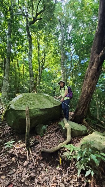 大混李棟山2816329