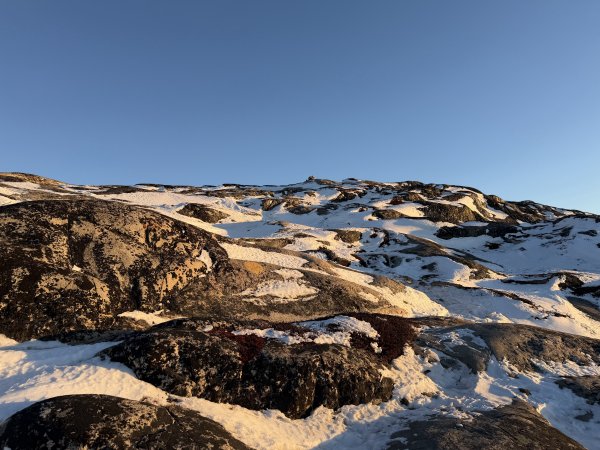 [紐約馬之行-42] 2025_1107 黃線步道-後2950717