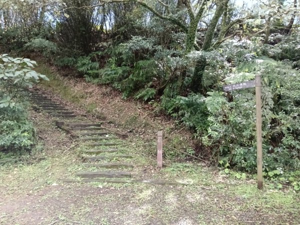 姜子寮山步道2734818