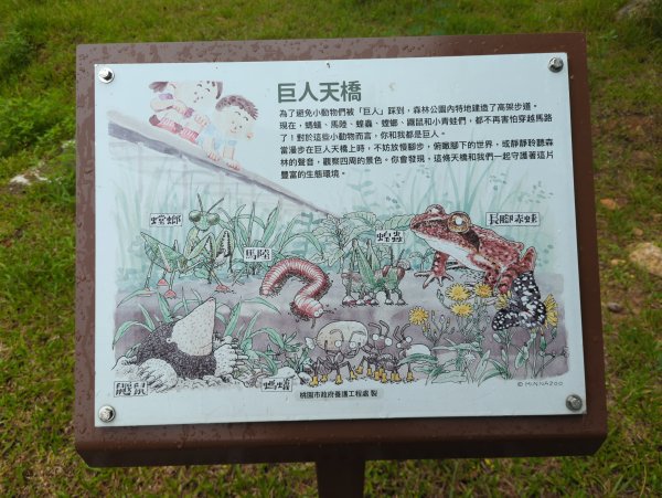 2025.07.20－霄裡好風光：大湳森林公園&亮亮健康樂園2841522