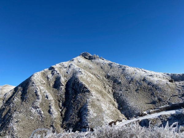 合歡山賞雪一日遊1254369