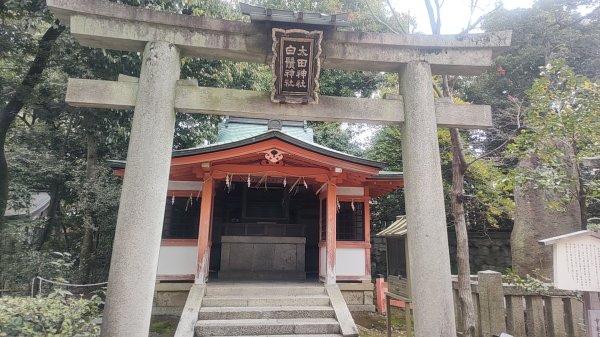 京都清水寺2453607