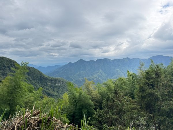 大崙山茶區山頭/民眾坪山 貓冬望山 大崙頭山 樟空倫山3101008