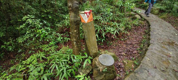 2026/06/13_大崙頭尾親山步道3075151
